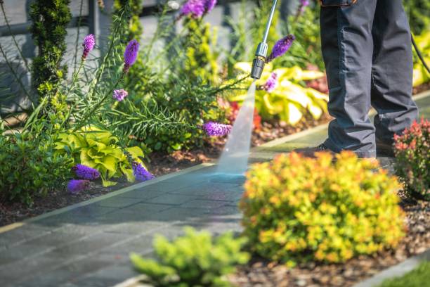 Best Building Exterior Pressure Washing in Footville, WI